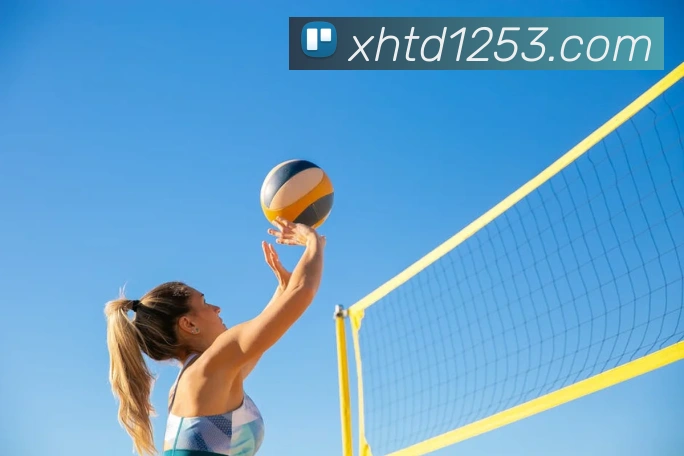 新濠天地官网发展历程